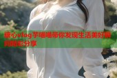 糖心vlog芋喵喵带你发现生活美好瞬间精彩分享