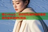 糖心vlog小二助你轻松制作高质量视频内容快速吸引粉丝