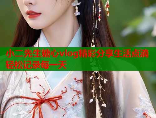 小二先生糖心vlog精彩分享生活点滴轻松记录每一天  第1张